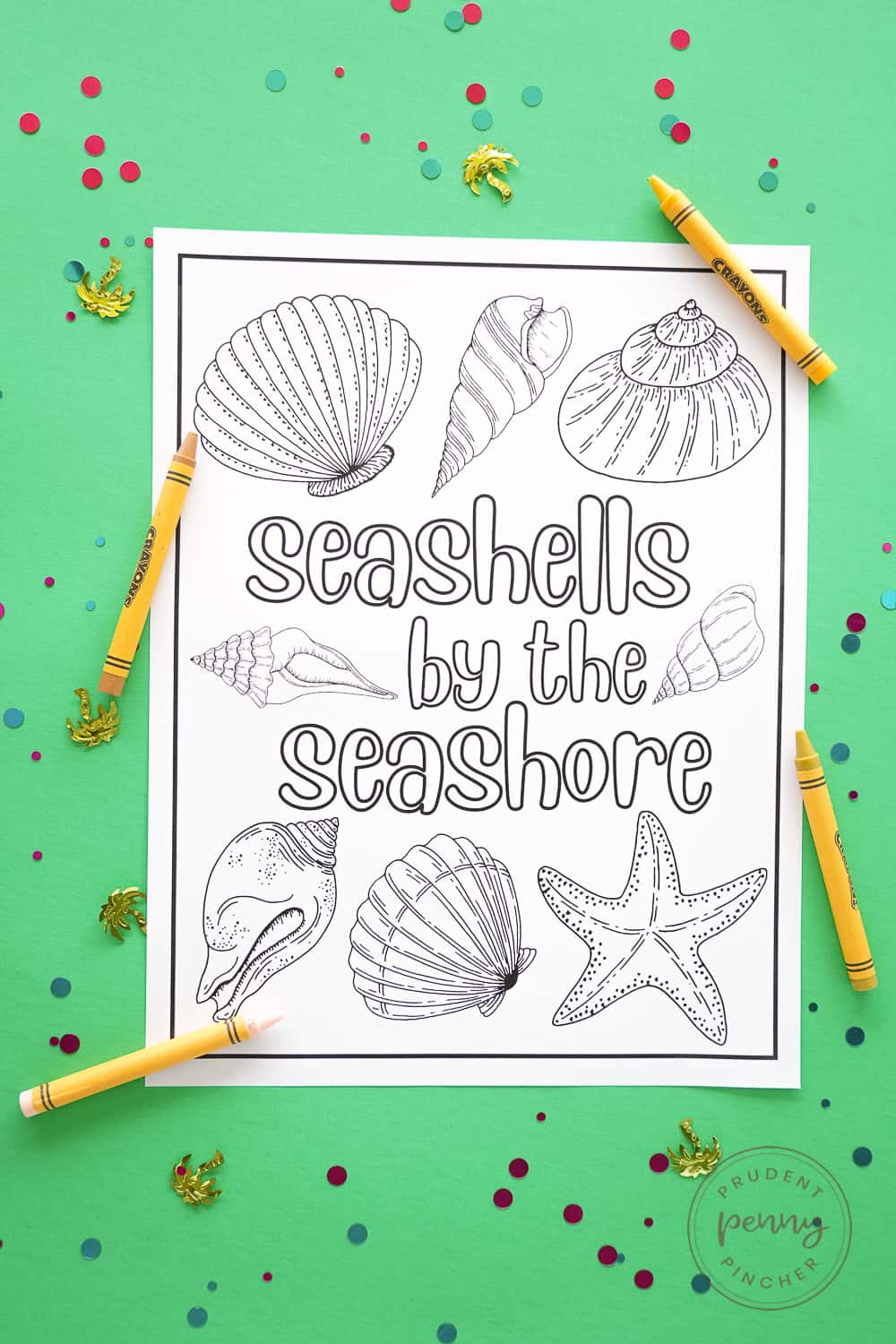 seashells by the seashore