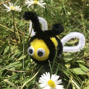 pipe cleaner bee