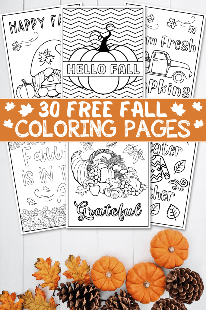 free autumn coloring sheets on a background