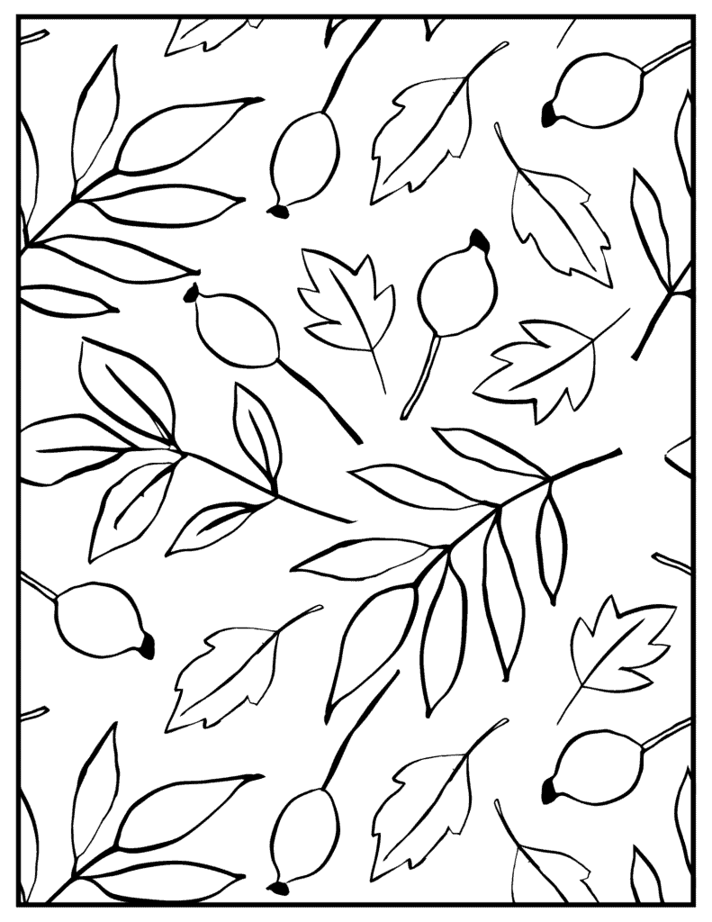 autumn leaves and berries coloring sheet