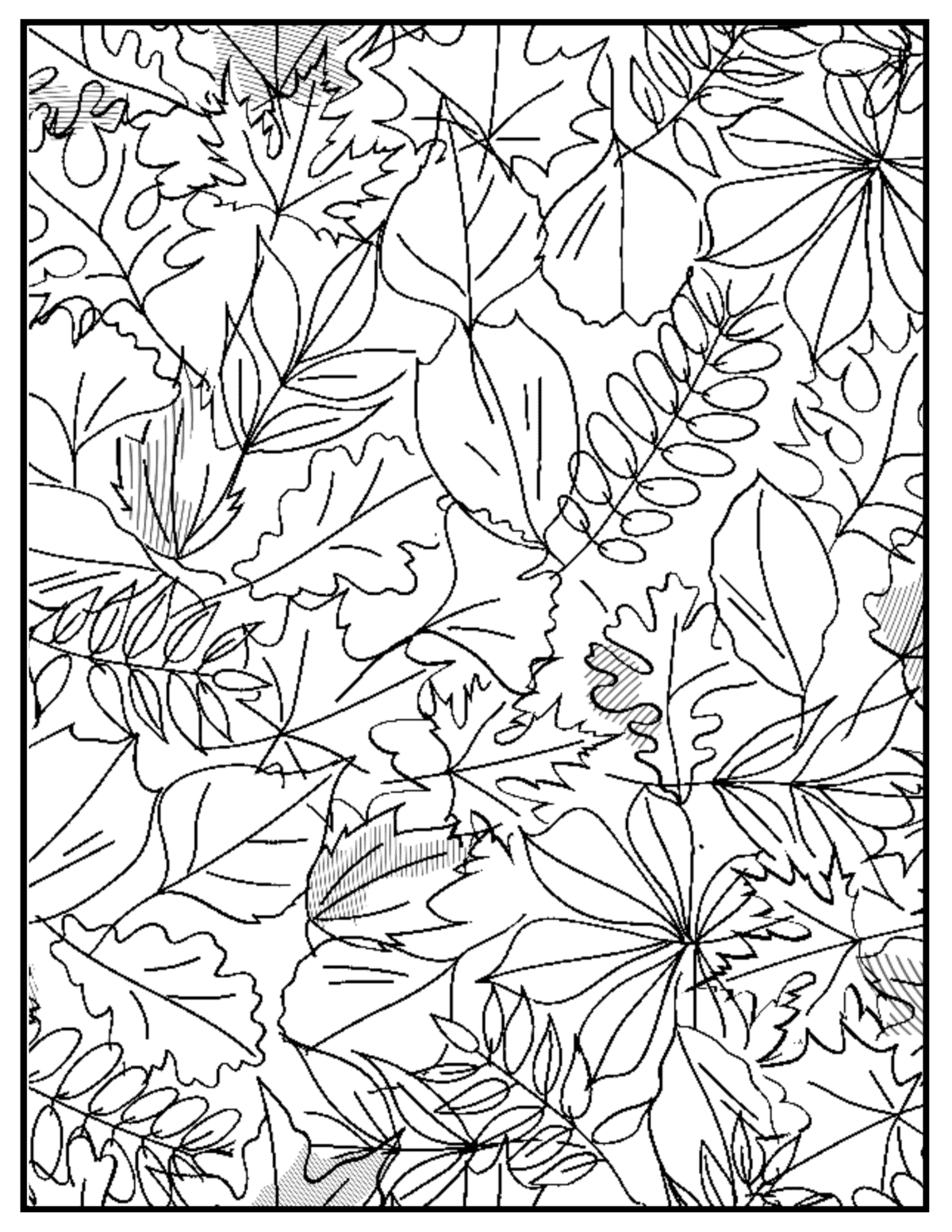 fall leaves pattern