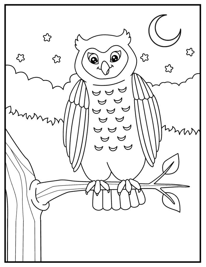 owl coloring page