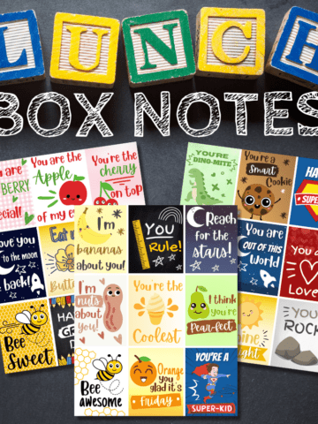 lunch box notes featured