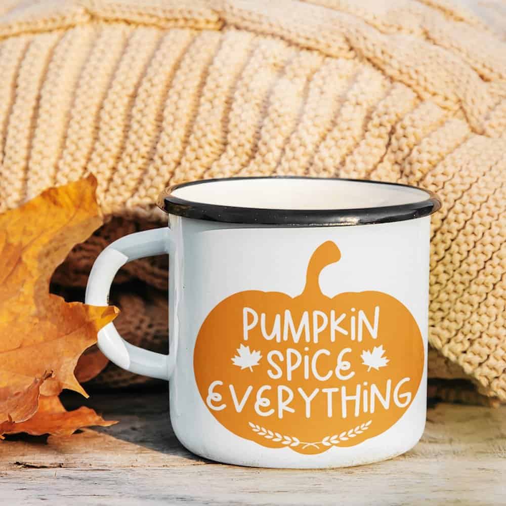 pumpkin spice everything mug