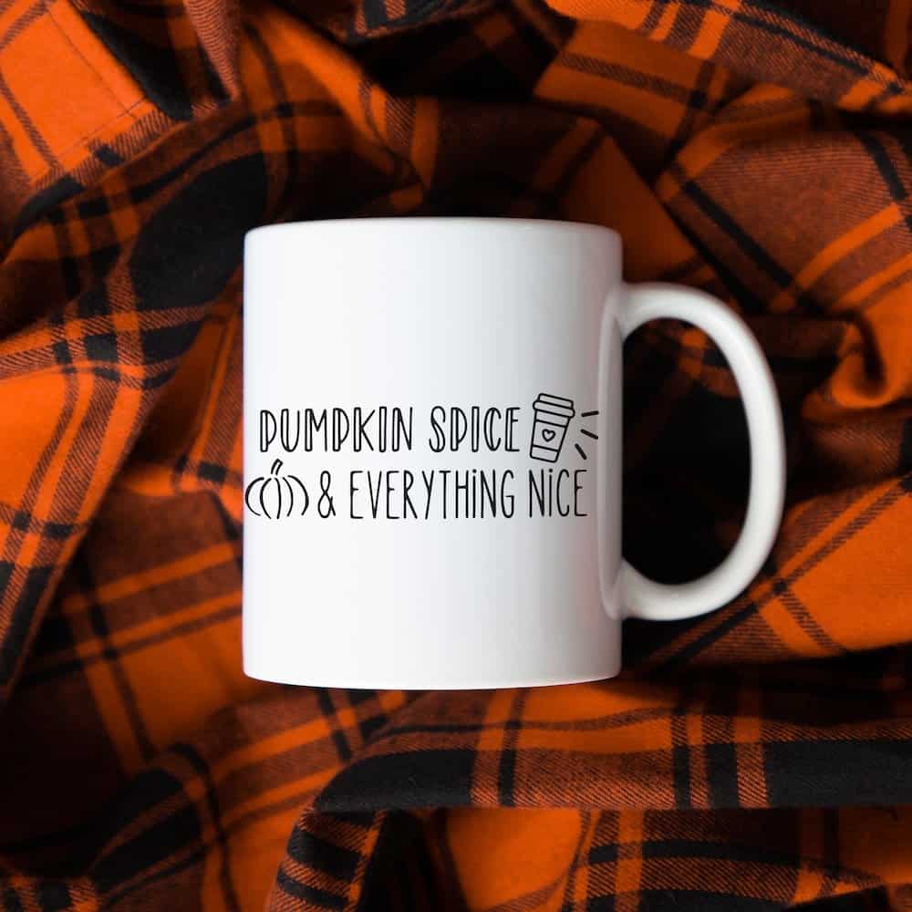 pumpkin spice and everything nice  on a mug with a plaid blanket in the background