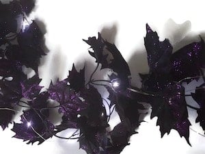 lit up purple and black leaves