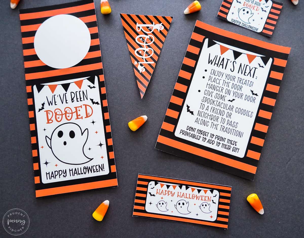 printable door hanger, flag and instructions