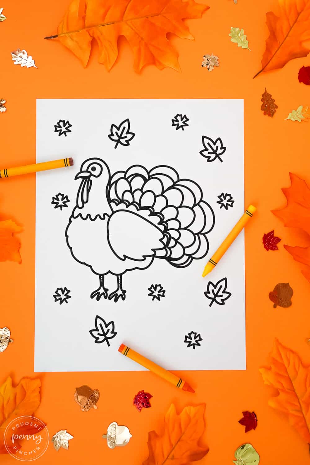 thanksgiving turkey surrounded by fall leaves thanksgiving coloring page