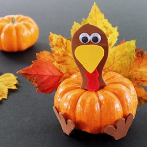 Cute Turkey Pumpkin