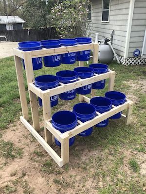 Bucket Gardening