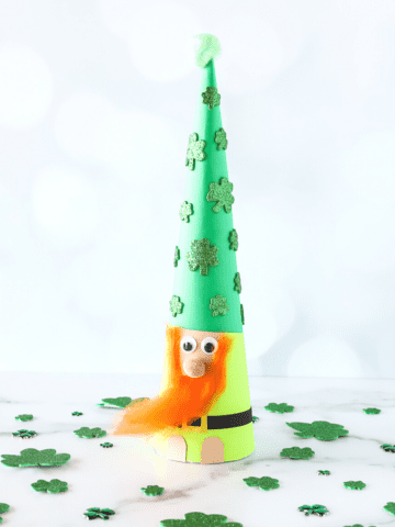 gnome leprechaun craft