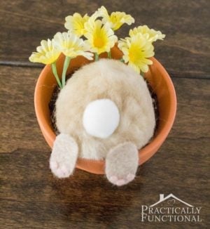 Curious Bunny Flower Pot