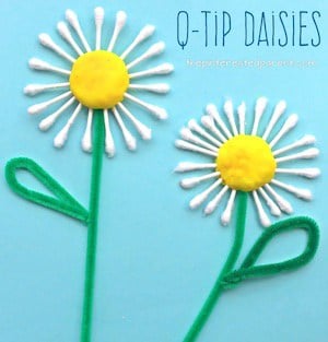 q tip daisies