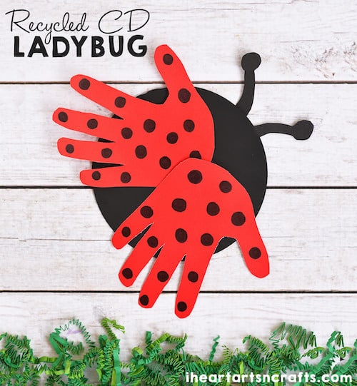 ladybug craft