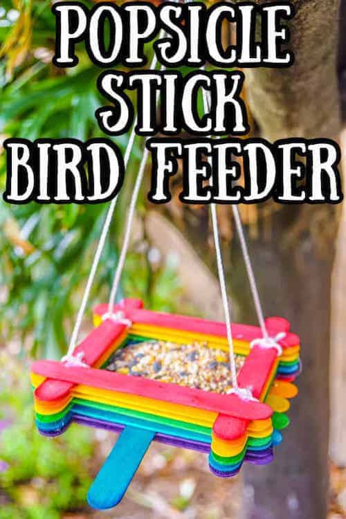 popsicle stick bird feeder earth day craft