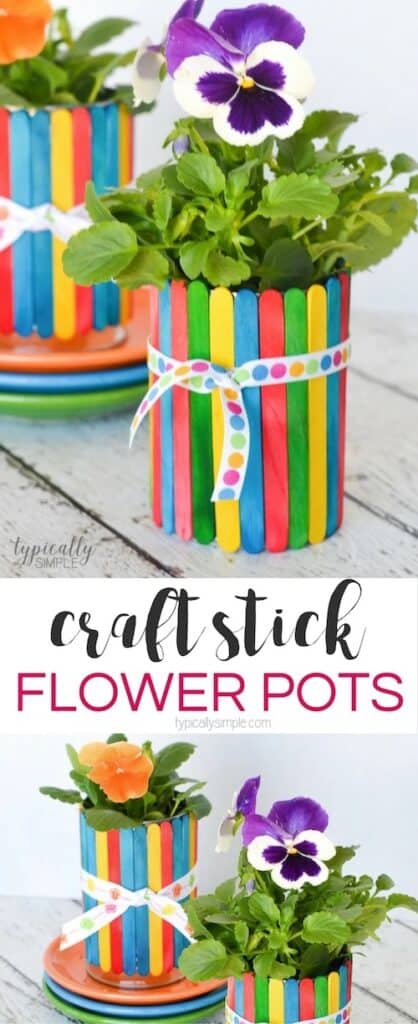 craft stick flower pots