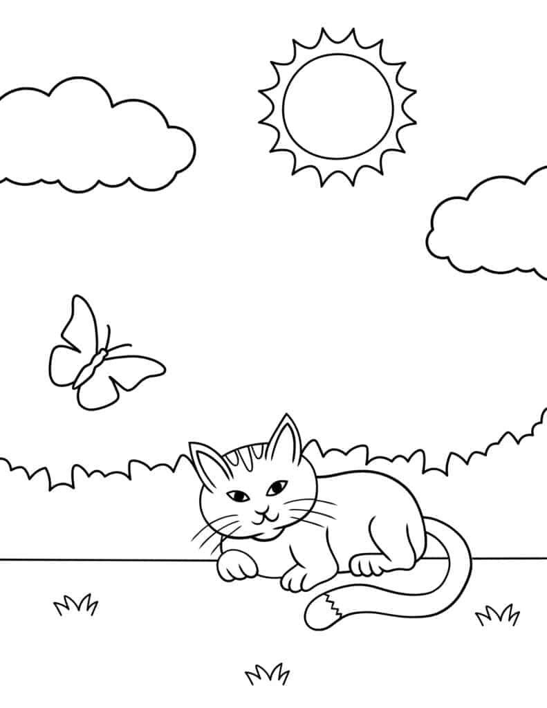 cat lying in a field with a butterfly flying overhead
