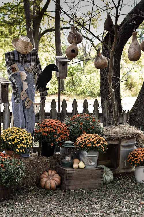 Country Farmhouse Fall Decor with mums in galvanized metal platers