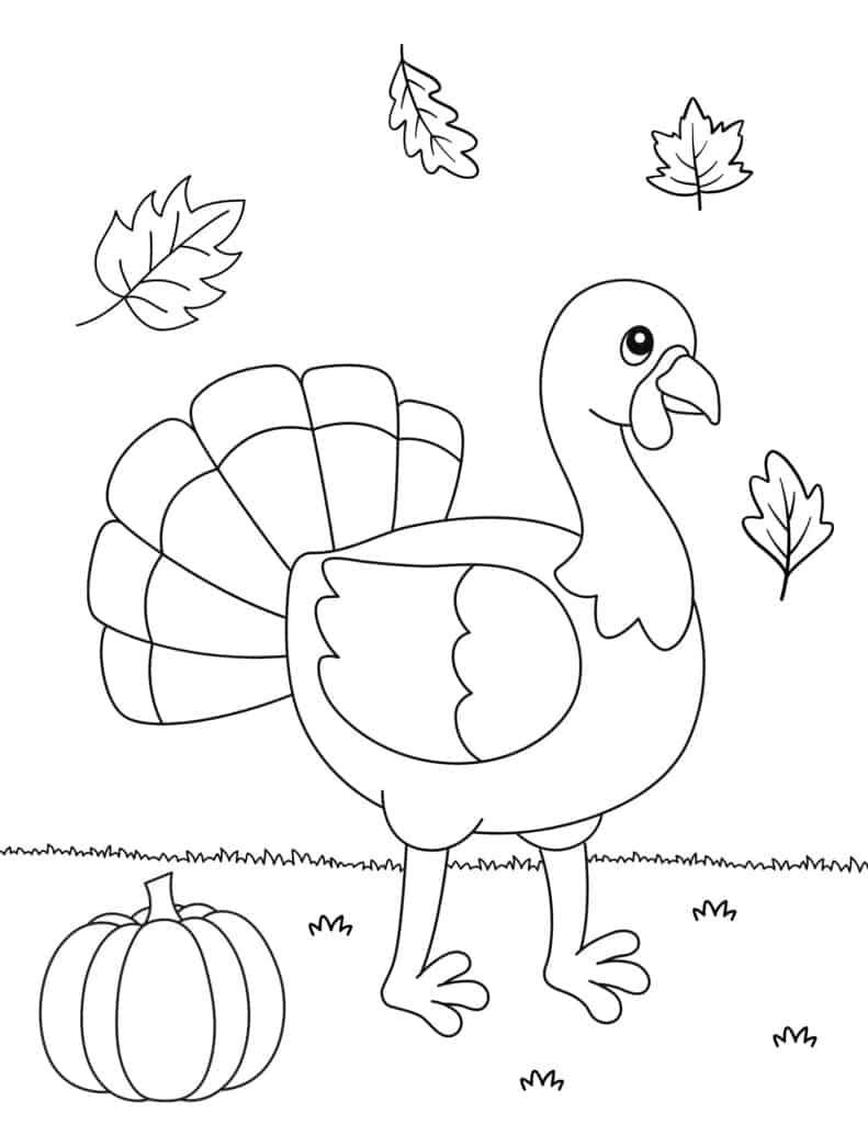 turkey with fall leaves background