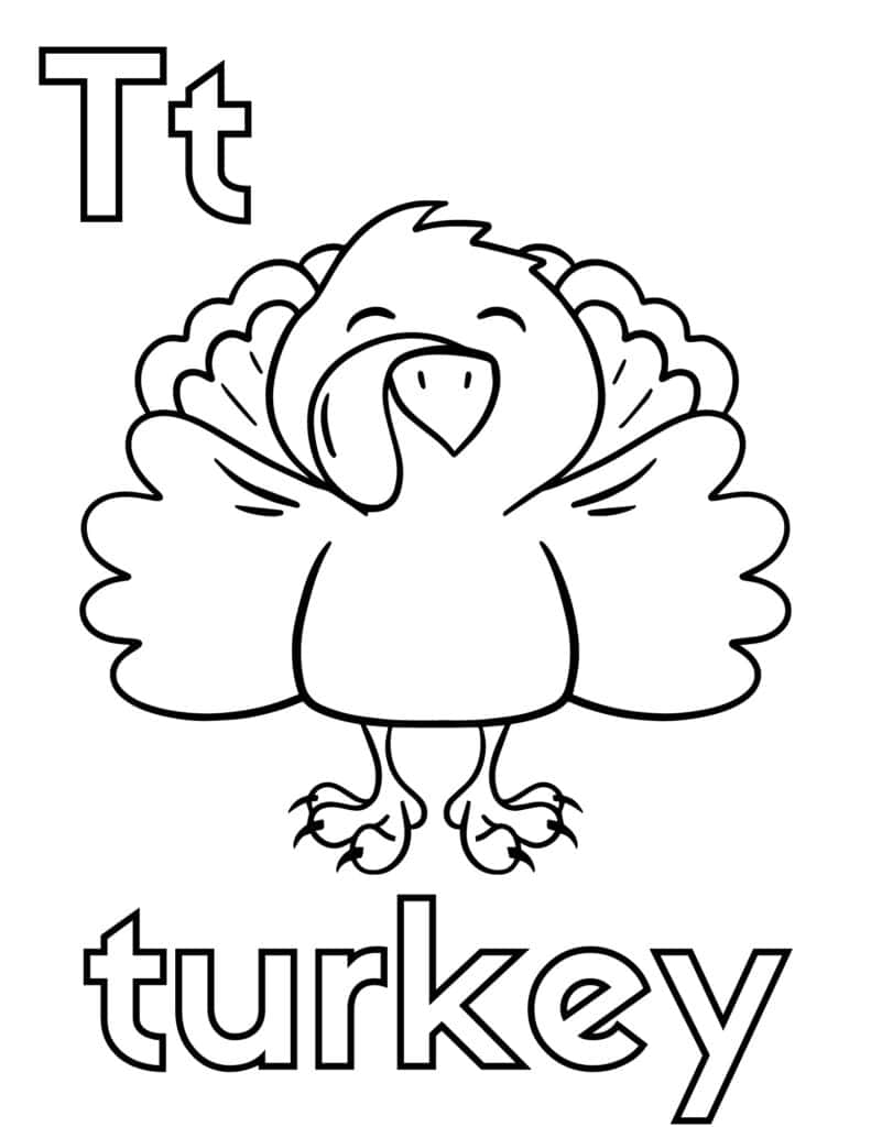 t is for turkey