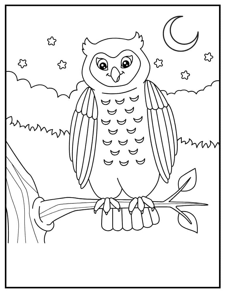 Cute owl sitting on a tree branch under moon and stars