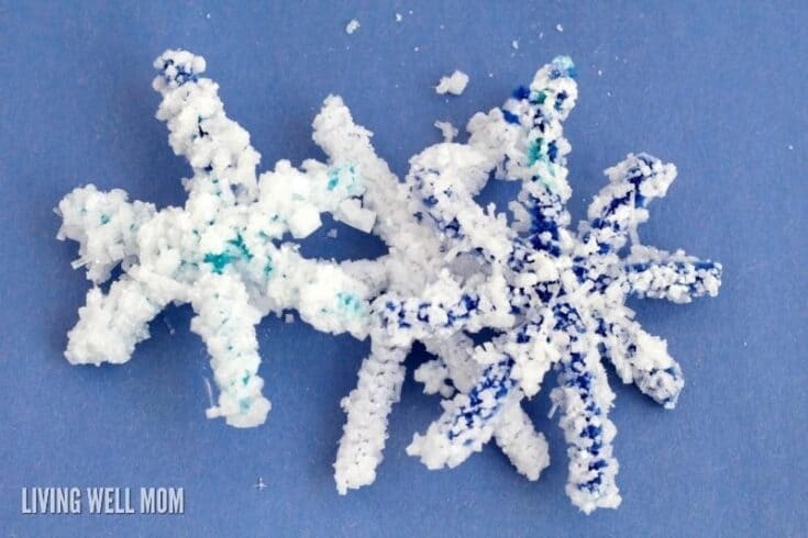 Paintbrush ornaments, paint/glue/glitter and foam snowflake stickersjust  made th…
