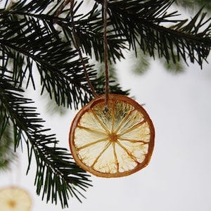 Dried Citrus Ornament