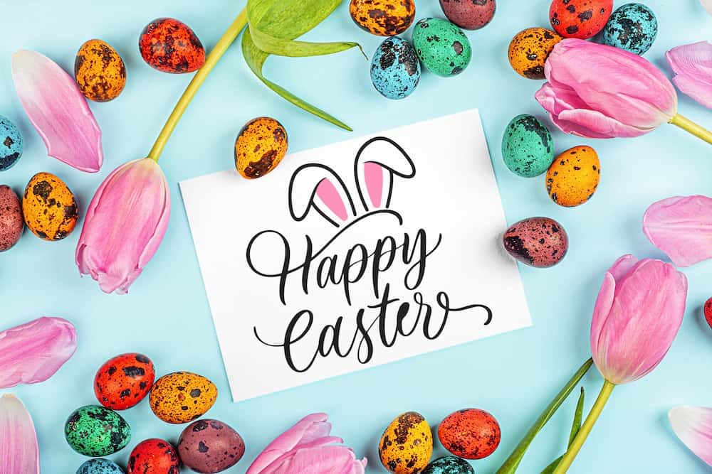 happy easter card svg file