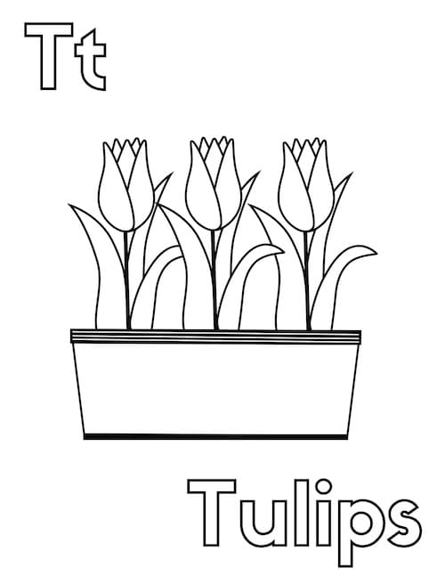 tulip coloring page