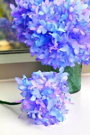 Coffee Filter Hydrangeas