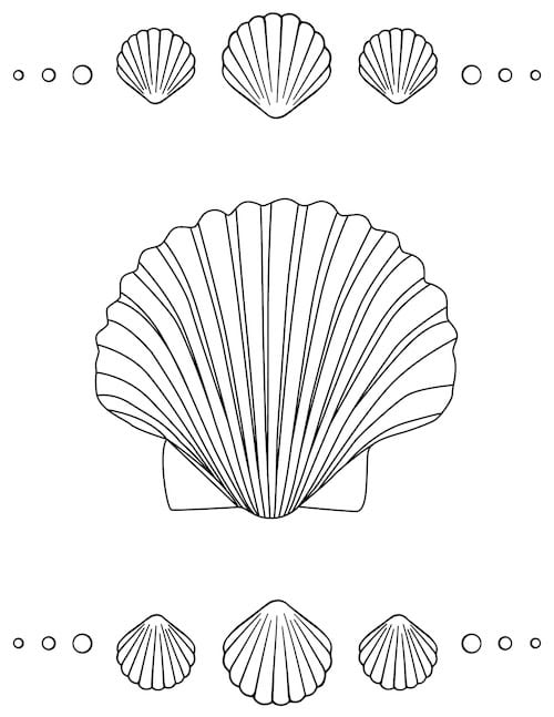 seashell coloring page