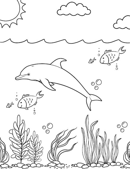dolphin swimming with fish