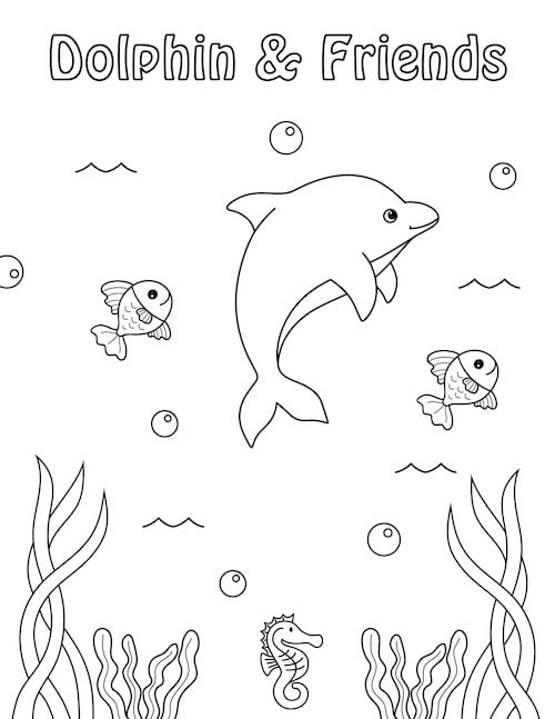 dolphin and fish friends under the water