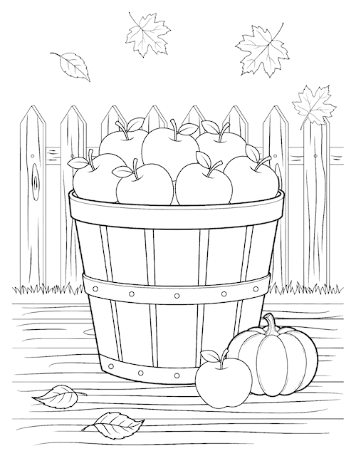 basket of apples, pumpkin, leaves and fence