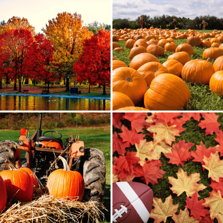 100 Fall Bucket List Ideas for 2024 Prudent Penny Pincher