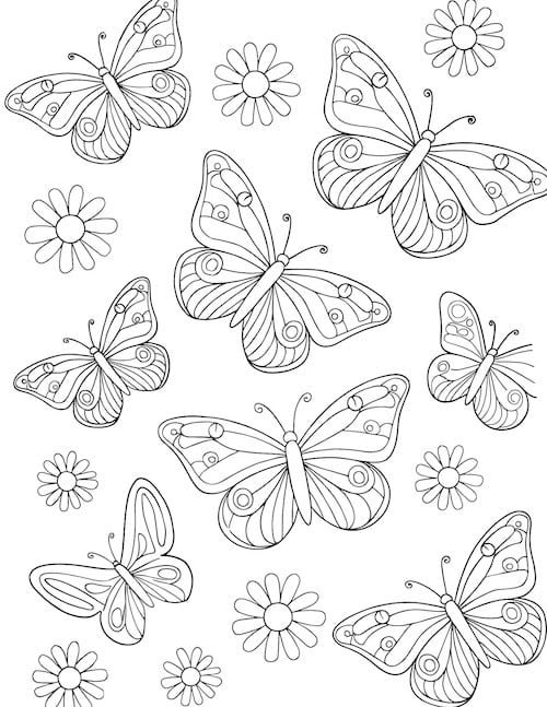 multiple butterflies flying among scattered flowers.