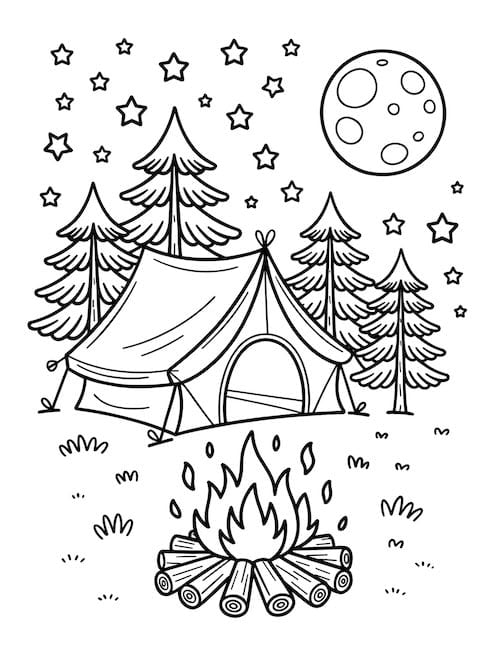 tent and fire in pine forest under stars