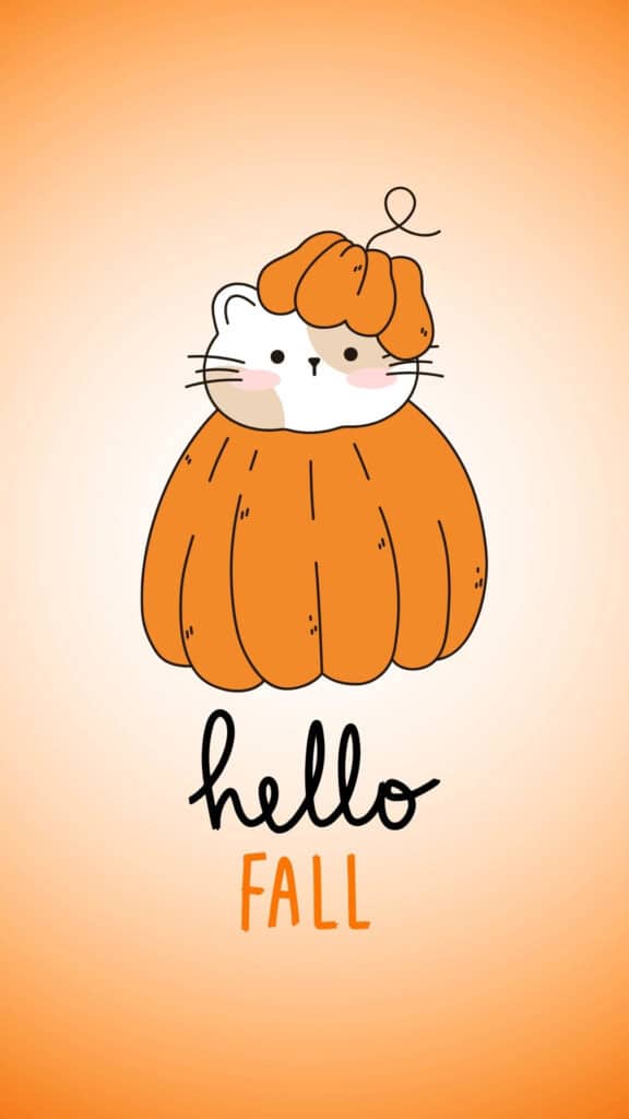 Cute Hello Fall cat dressed as a pumpkin on orange background