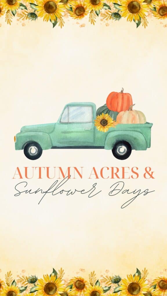 Autumn Acres and Sunflower Days wallpaper