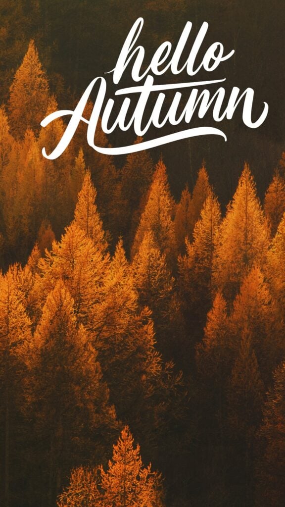 Hello autumn text over golden fall trees, minimalist forest autumn iPhone background