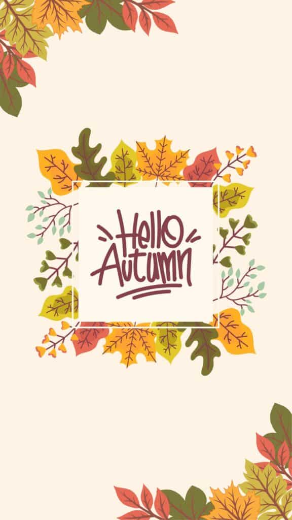 ello autumn text in frame with colorful fall leaves on each corner