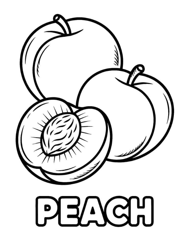 peach coloring page with sliced fruit