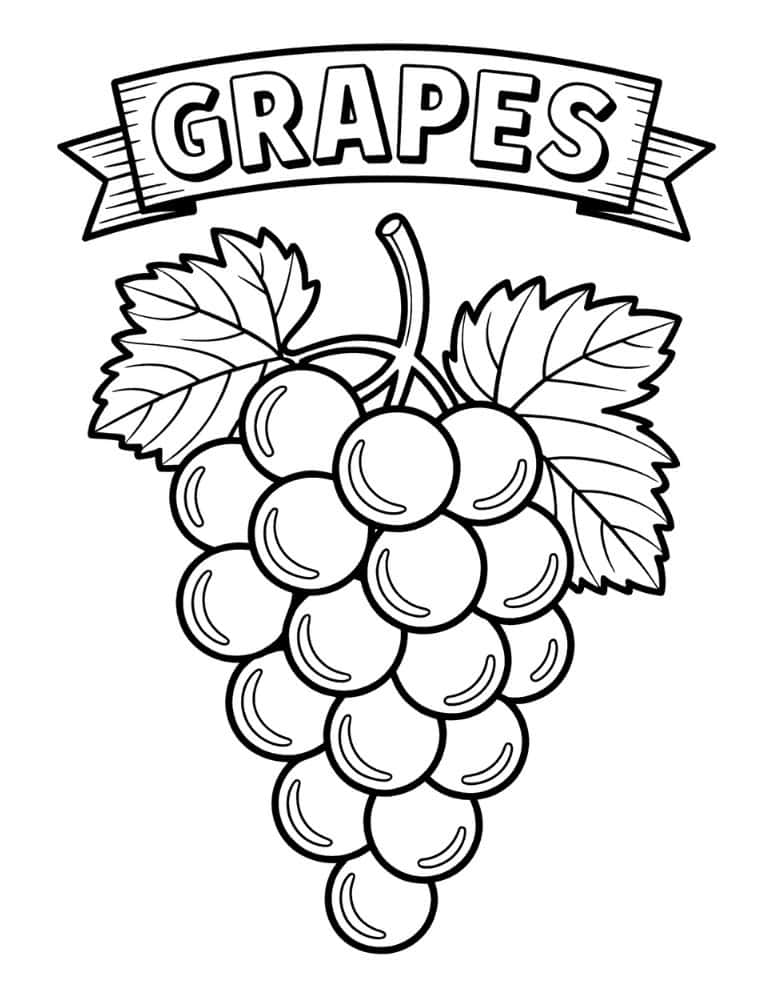 Grapes with leaves and a banner