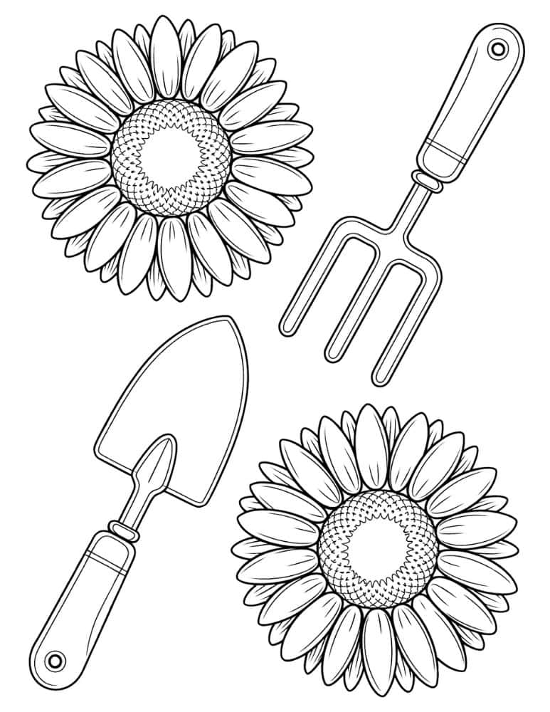 Sunflower and gardening tools