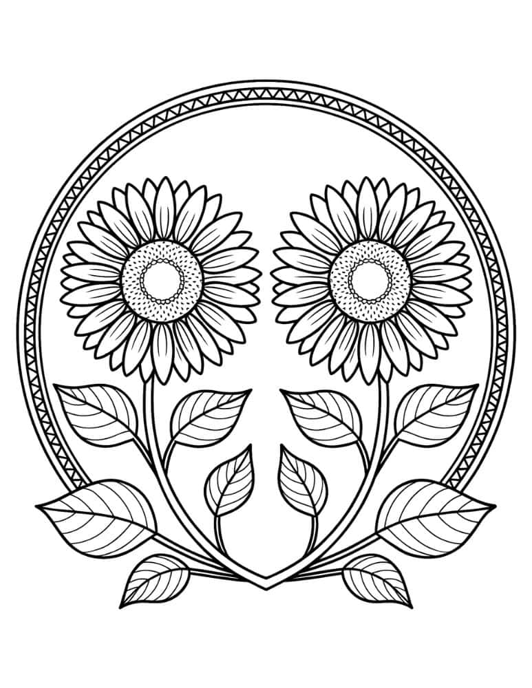 twin sunflowers in a circle design