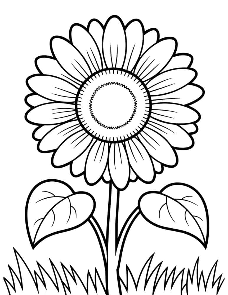 Classic sunflower coloring page in grass