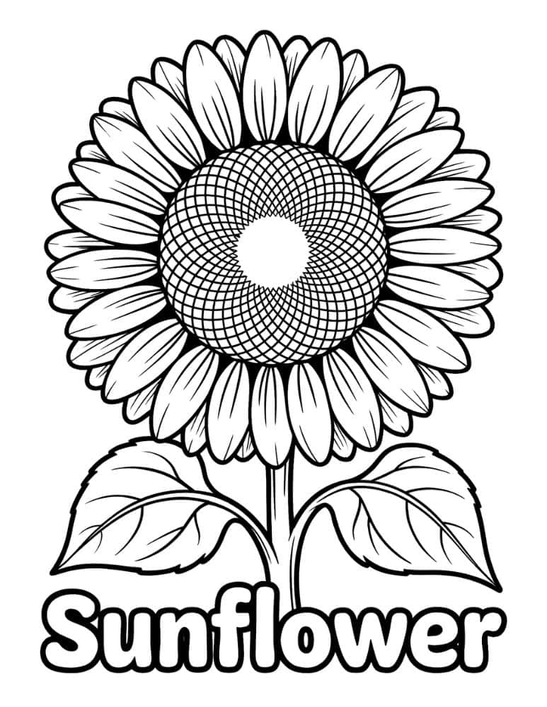 Bold sunflower with label