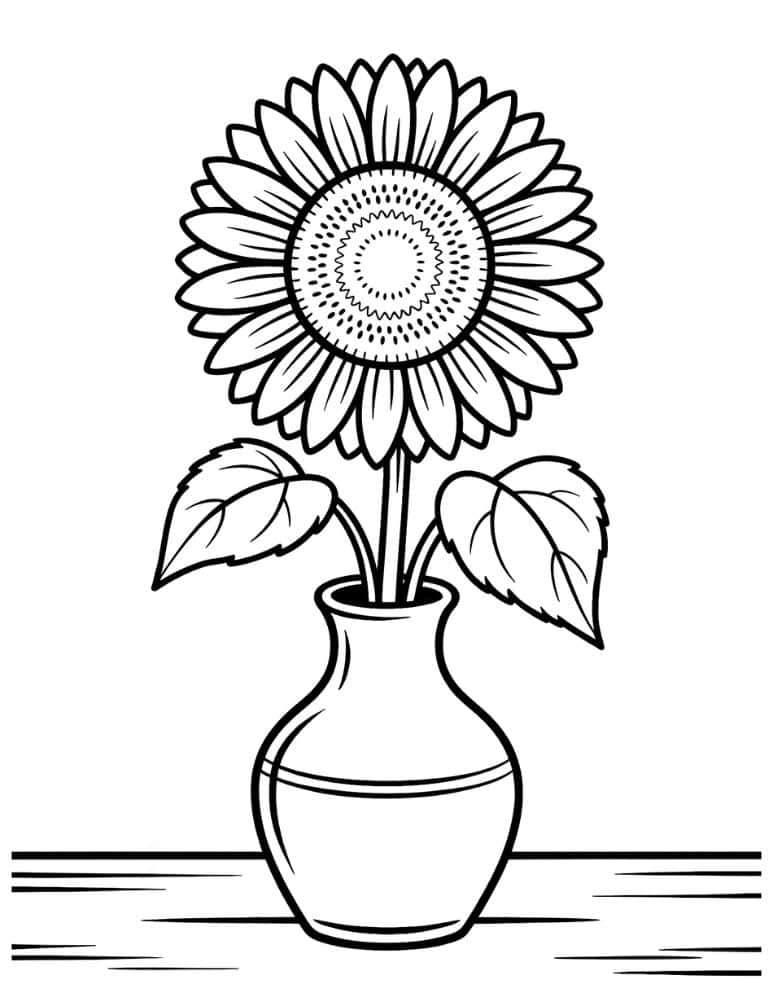 Sunflower in a vase