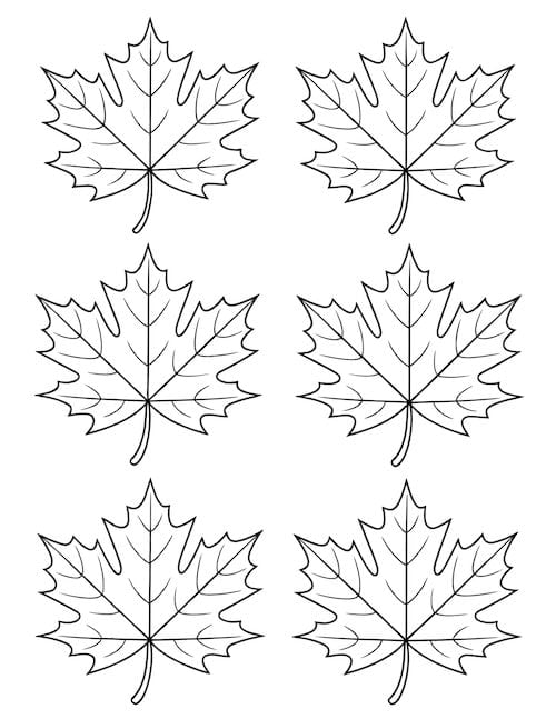 Assorted leaf shapes fall coloring page