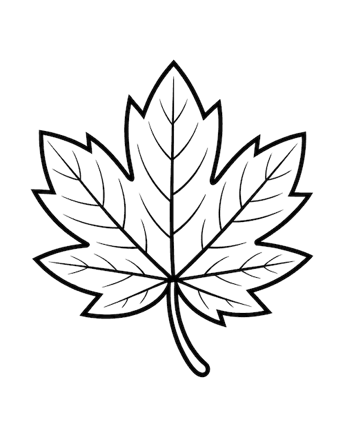 Simple maple leaf coloring page